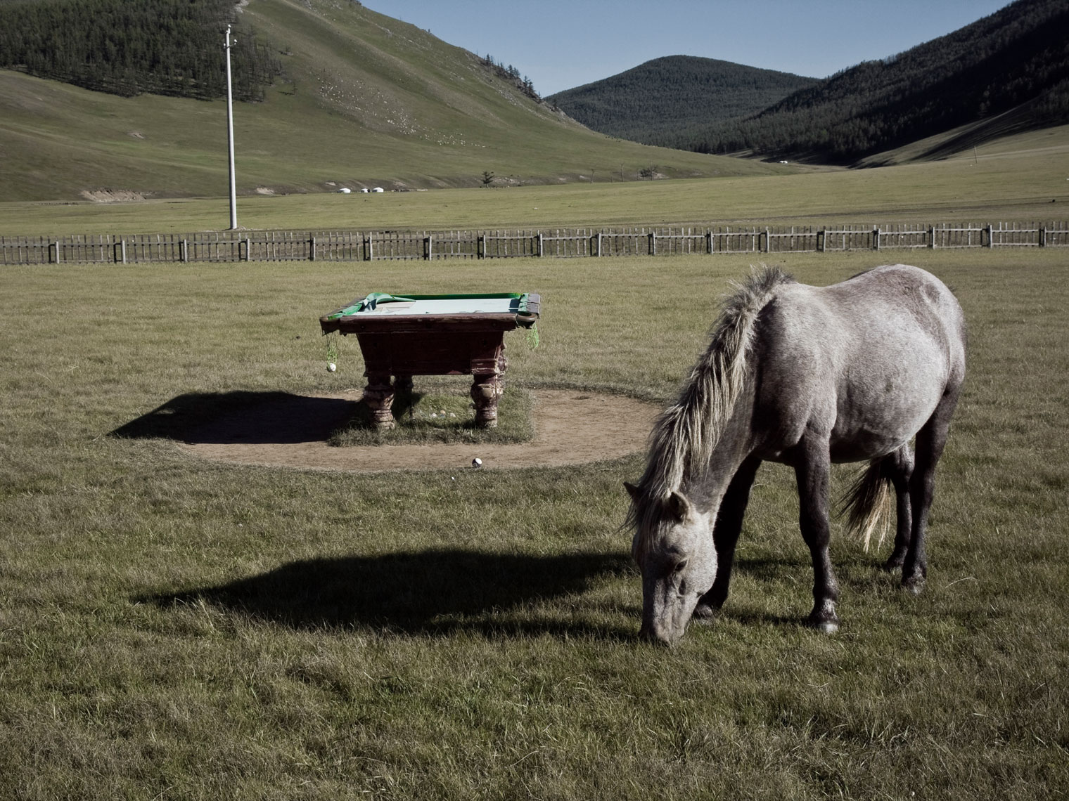 MONGOLIA. Orkhon valley, 2012. The horse and the pool.