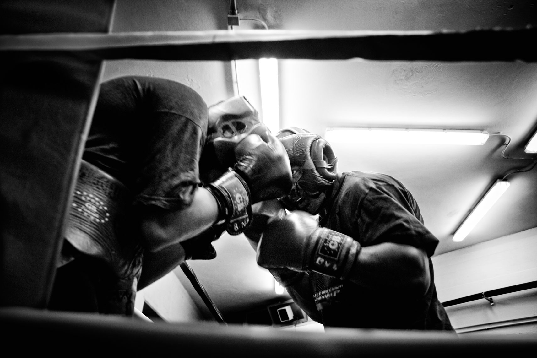 ITALY. Florence, 6th October 2011. Leonard Bundu fighting against a sparring partner in preparation of the match for the EBU (European Boxing Union) Welter Weight crown.