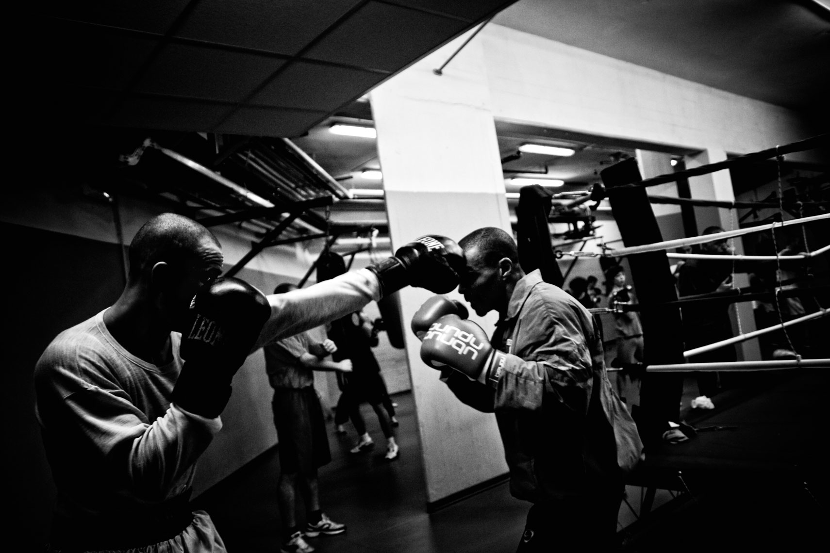 ITALY. Florence, 27th October 2011. Leonard Bundu trying some sequences of movements with a sparring partner in preparation of the match for the EBU (European Boxing Union) Welter Weight crown.