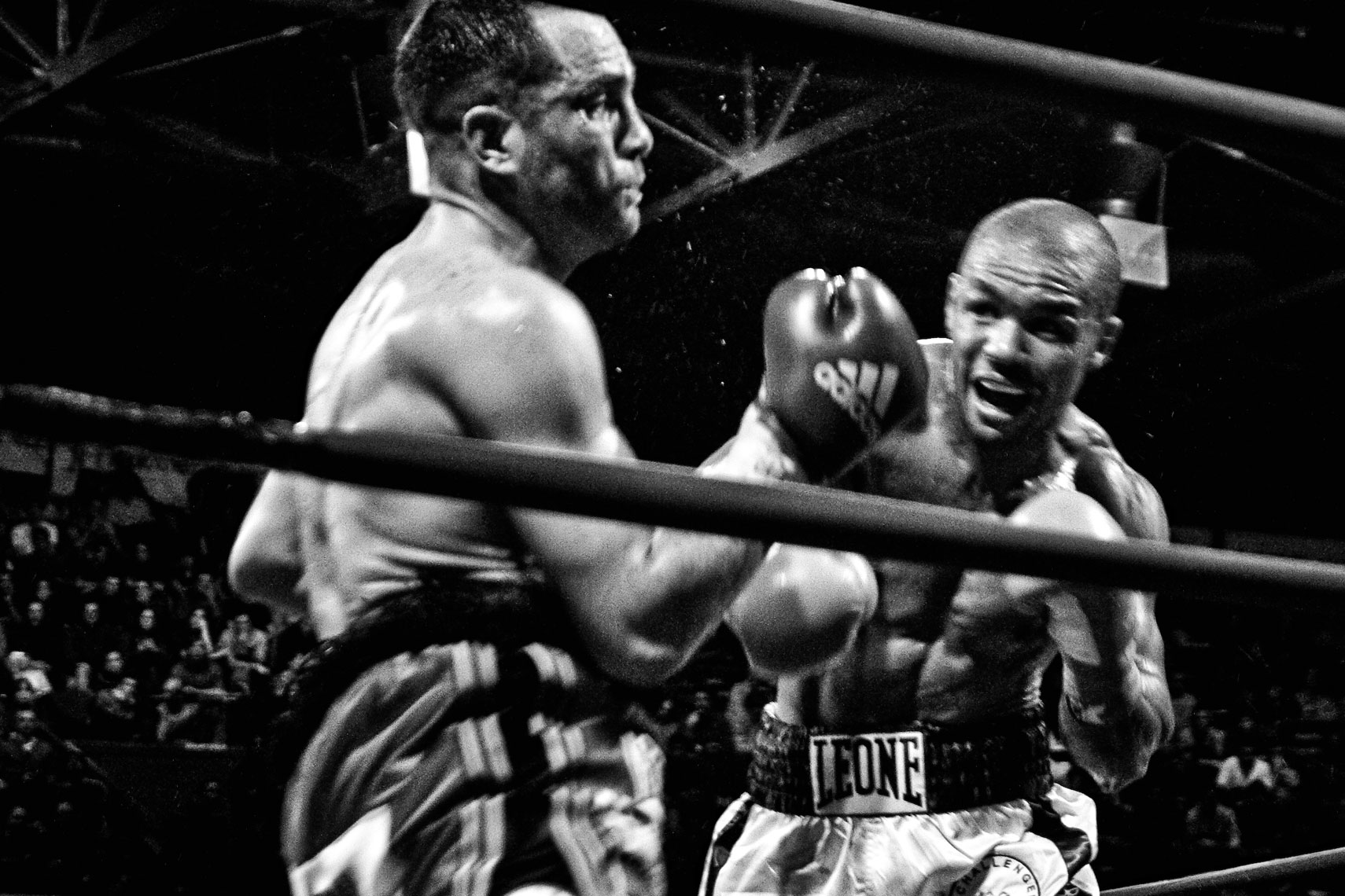 ITALY. Florence, 4th November 2011. Mandela Forum, the night of the match for the EBU (European Boxing Union) Welter Weight crown, Leonard Bundu and Daniele Petrucci fighting.
